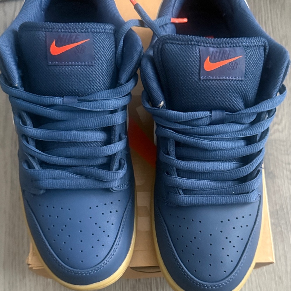 Nike Dunk Low Pro SB 'Navy Gum'